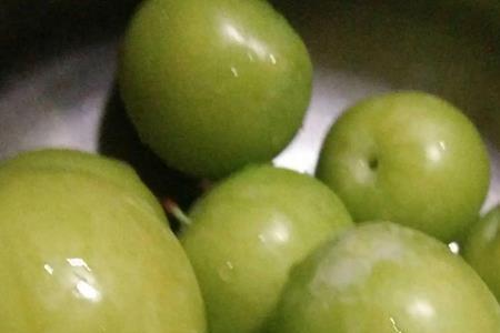 怎样保存李子四季可以吃