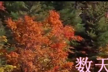 苦代表什么数字