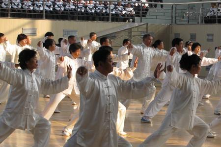 关于武术集体拳的特点
