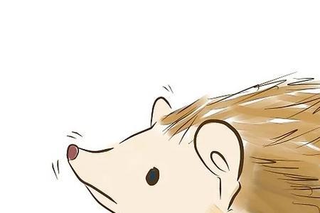 别人说你是刺猬是什么意