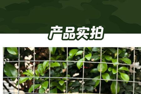 牛肉罐头有没有防腐剂
