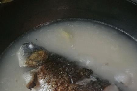 活水鲫鱼怎么保鲜