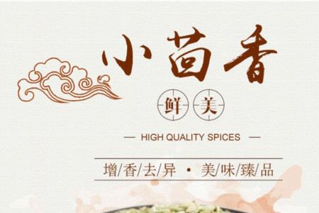 西茴香是小茴香吗
