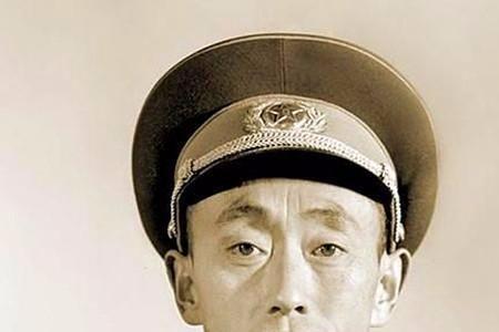 开国名将系列全集