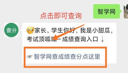 为什么进不去智学网