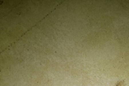 比纱窗缝隙还小的飞虫