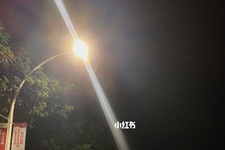 苹果手机在路灯下拍照有绿点
