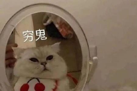 你到底要干嘛什么意思