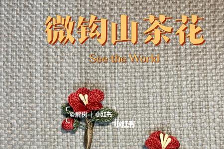山茶花胸针寓意