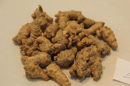 陈三七和新三七的区别