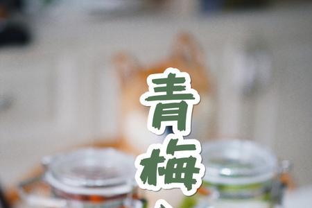 思念那枝梅是哪首歌