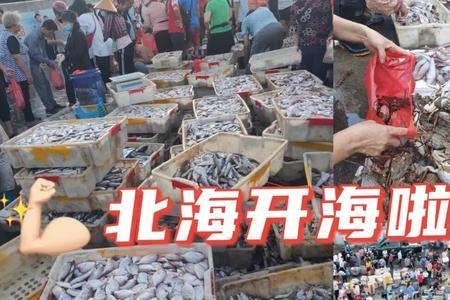 怎么知道北海是否开海
