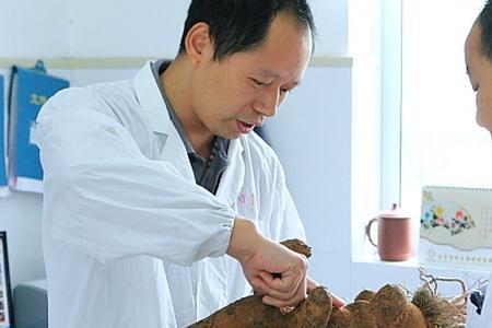 何首乌多久可以长成人形