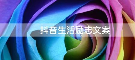 感谢抖友最佳文案