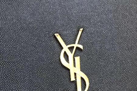 圣罗兰背后大logo衣服叫啥子
