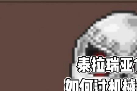 泰拉瑞亚如何杀骷髅博士