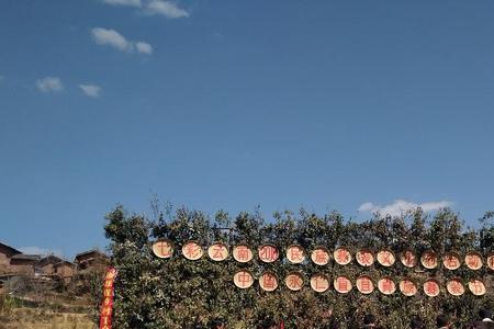 直苴读音
