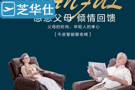芝华士电动容易坏吗