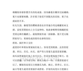 晒瓜豆用不锈钢盆行吗