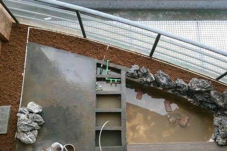 水泥鱼池养水的正确方法