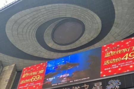 金碧海洋之星多大
