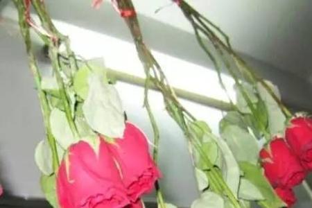 真花要怎么保存
