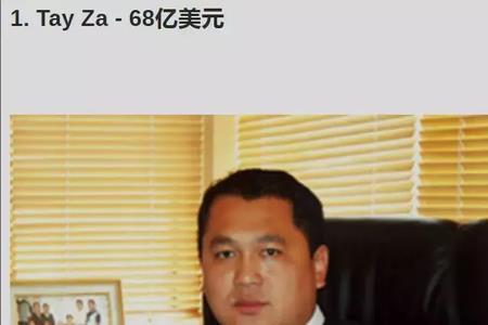 缅甸最大矿主是谁
