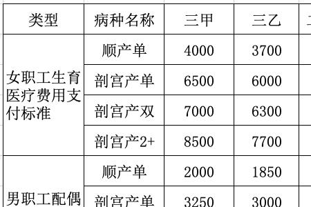 四川绵阳怎么给自己购买生育险
