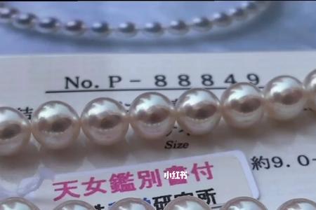 天女和澳白哪个好