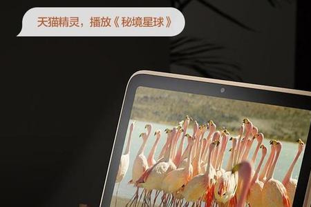 家里需要几个天猫精灵
