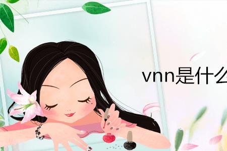 vnz是什么牌子的女装