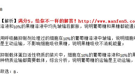 果糖酶的组成