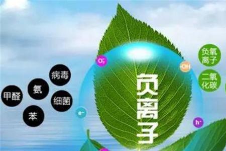 什么叫富氧离子