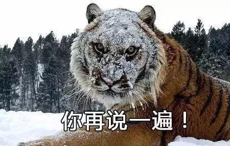 呲屁东北话啥意思