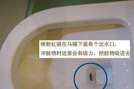 一楼为什么要用直冲式马桶