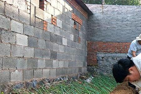 四季葱怎样才长得青又绿