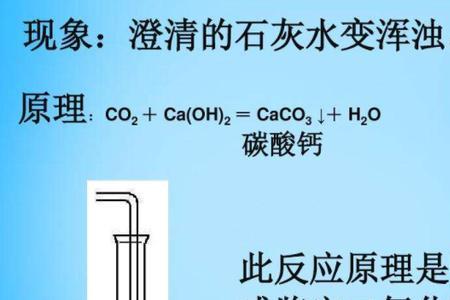 碳酸钠与水反应生成二氧化碳吗