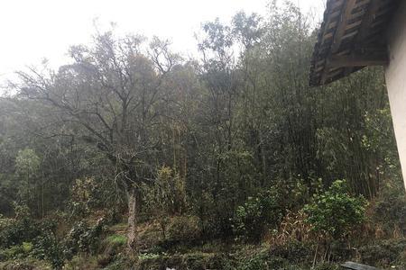 雨歇什么意思