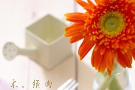 产妇能吃木须肉吗