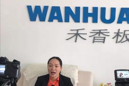 万华禾香板背板多厚