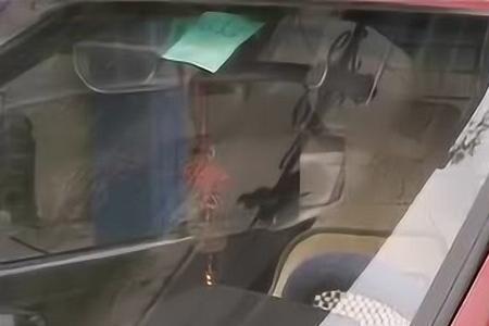 杨光被判死刑是哪一集