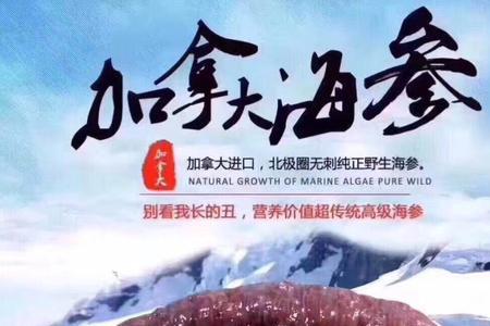 加拿大进口海参是正规的吗