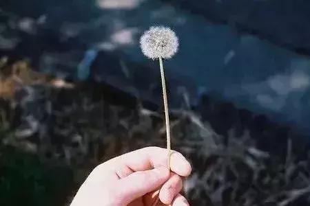 什么是心直