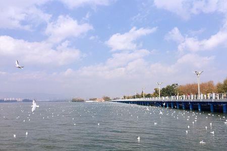 海埂什么意思