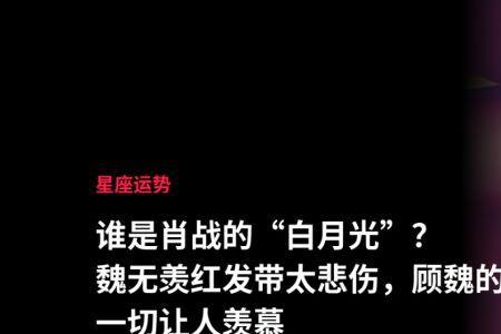 剩下白月光林湛结局