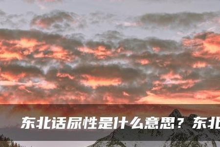 东北话皮鞋是啥意思