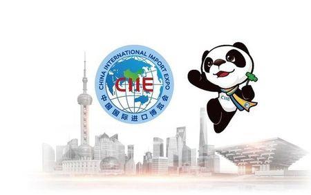 上海进出口博览会开放吗