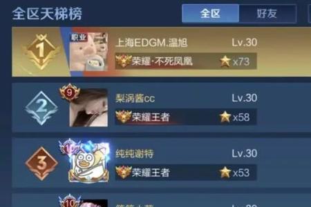 王者市级选手称号是什么意思