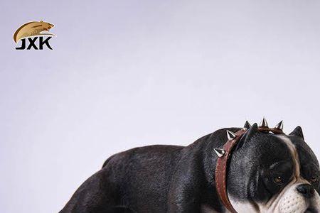恶犬狂吠指的什么动物
