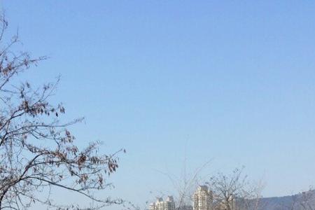 大连富国公园要门票吗